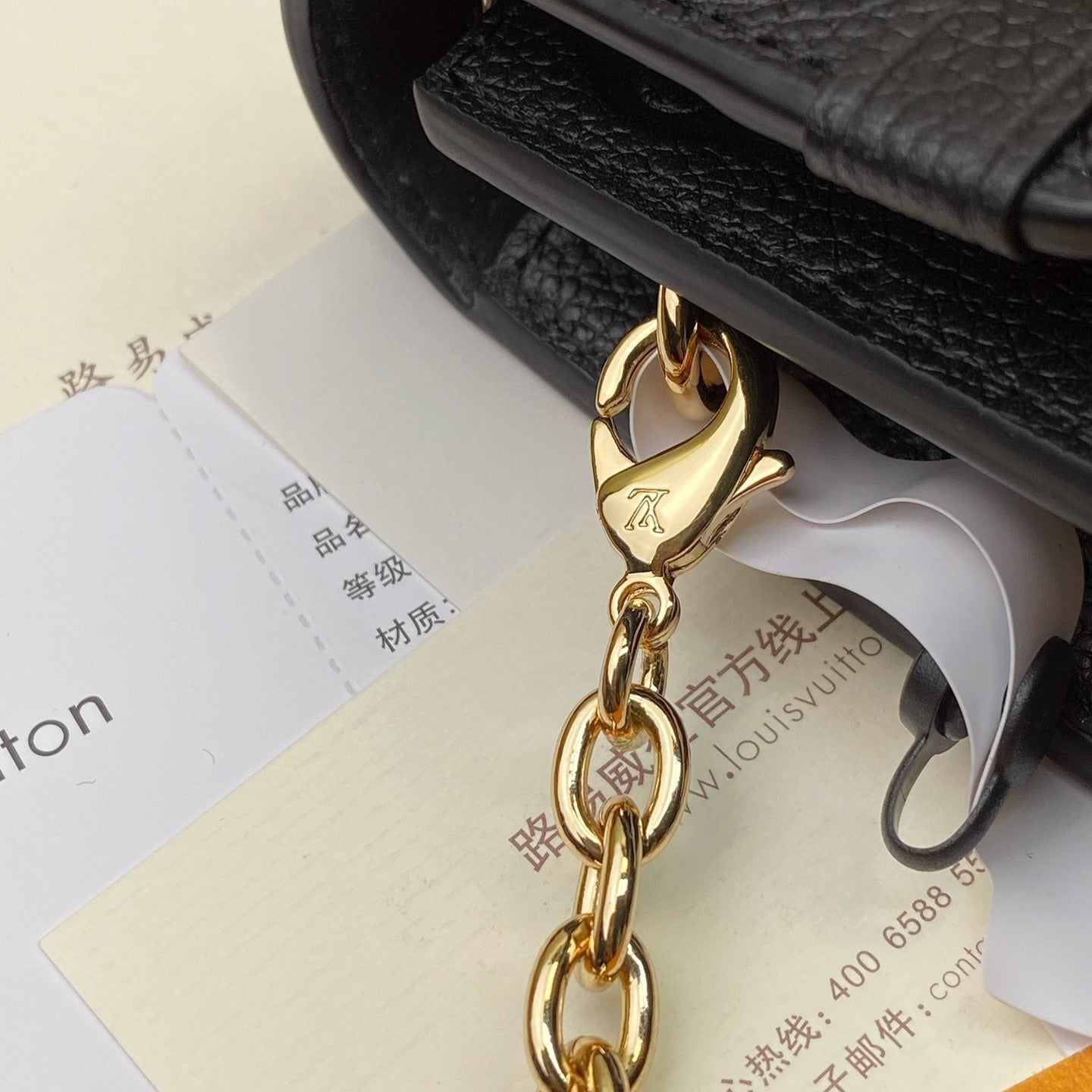 Pronta Entrega – Bolsa Modelo Louis Vuitton Vavin PM