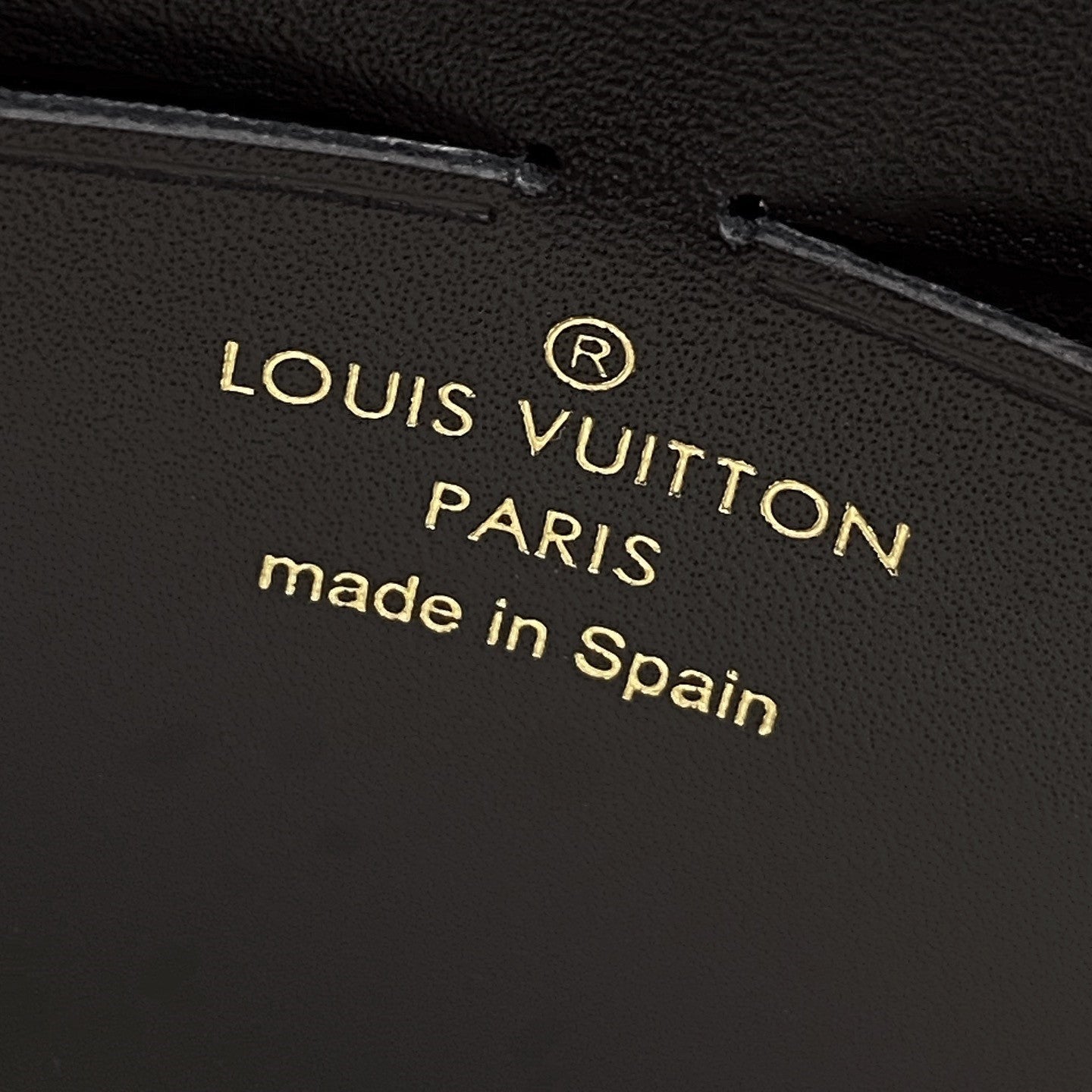 Pronta Entrega – Bolsa Modelo Louis Vuitton Vavin PM